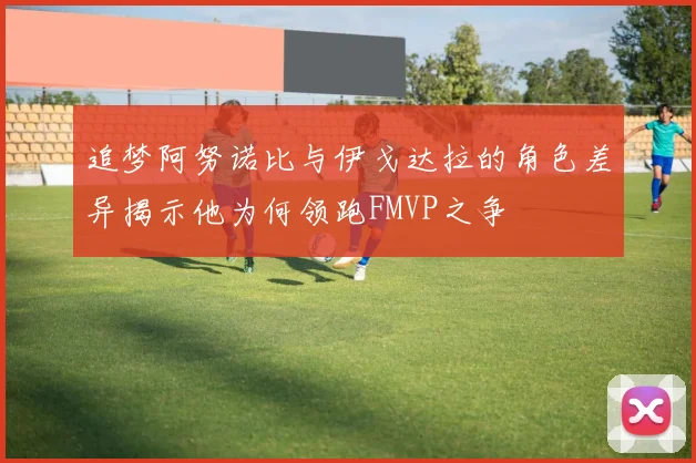 追梦阿努诺比与伊戈达拉的角色差异揭示他为何领跑FMVP之争