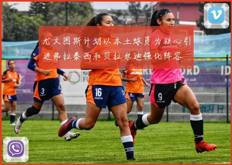 尤文图斯计划以本土球员为核心引进弗拉泰西和贝拉尔迪强化阵容